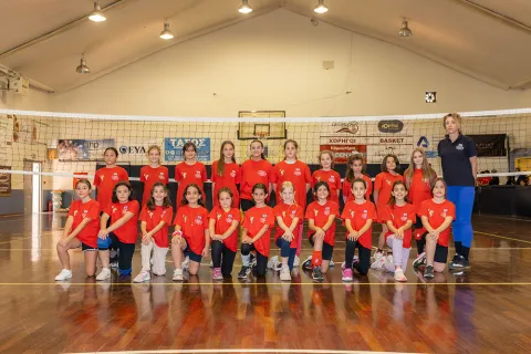 βολει ακαδημιες