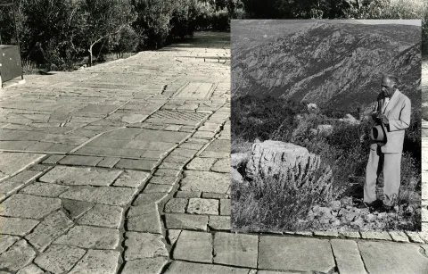 Πικιωνης